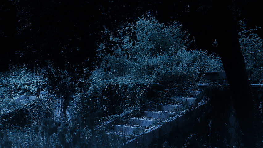 Woman in wedding dress goes through the steps (can be used for a horror movie)