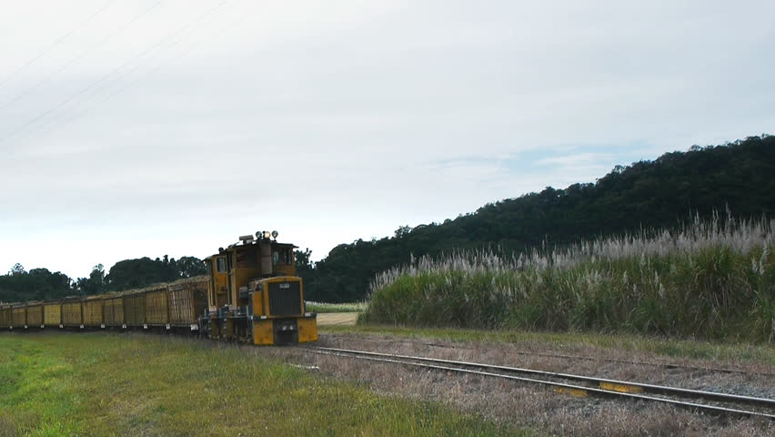 a train hauls harvested sugar cane to a mill in Mossman, Qld Australia