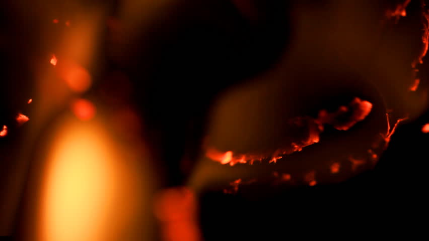 Burning paper. Macro. The paper was a fire burning.