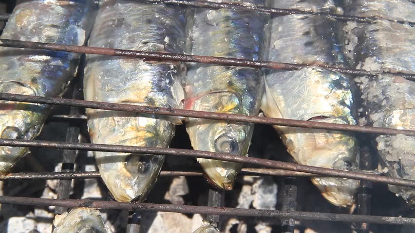 Typical Portuguese grilled sardines cooked in hot coals