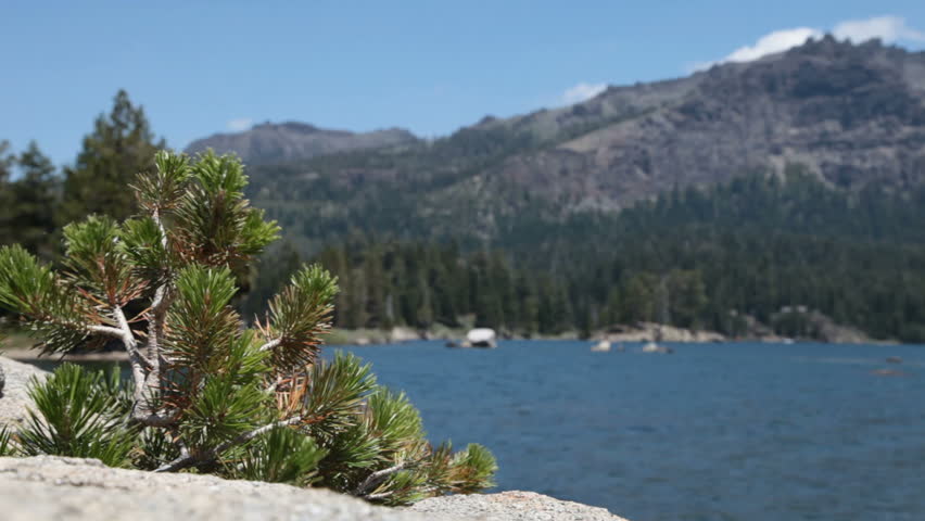 Scenic Lake View