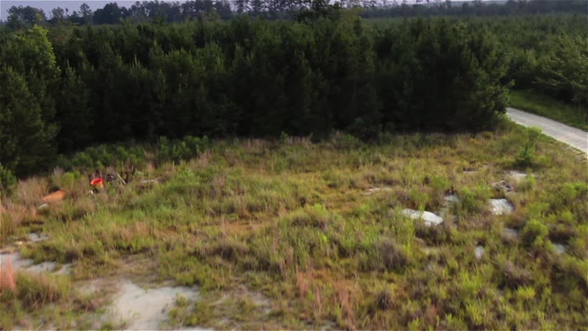 Aerial flyover of forest from helicopter, skimming treetops