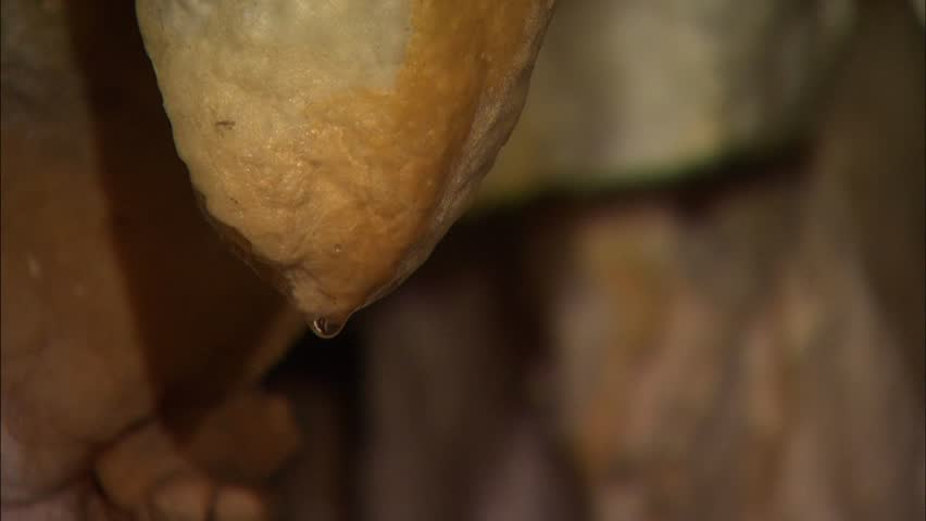 Closeup drop of water hanging on tip of stalactite in cave