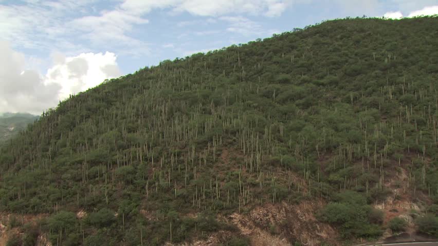 Left Pan View of A Tree Covered Mountain and A Winding Road