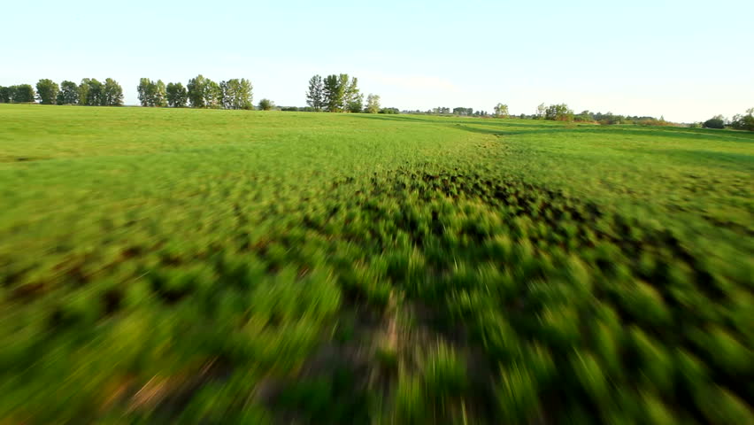 flight over sunny field