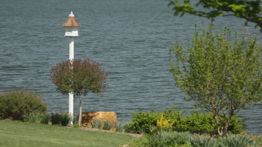 A high rent property. A new white bird house on the lake shore in Topeka, KS.