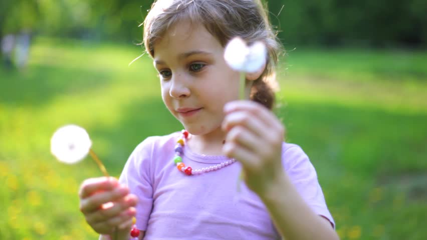 Beautiful little girl plays on green lawn with dandelions