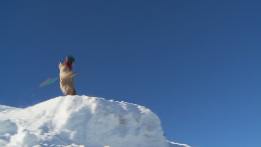 SLOW MOTION - Male skier 540 McTwist of jump