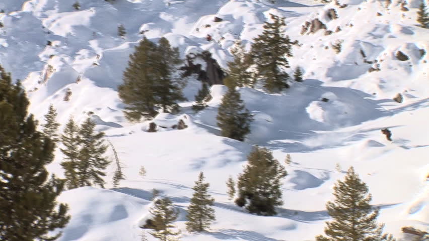 Male snowboarder carves through back-country terrain