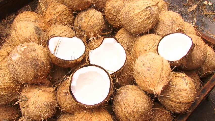 Coconut on the market in Maceio Alagoas, Brazil