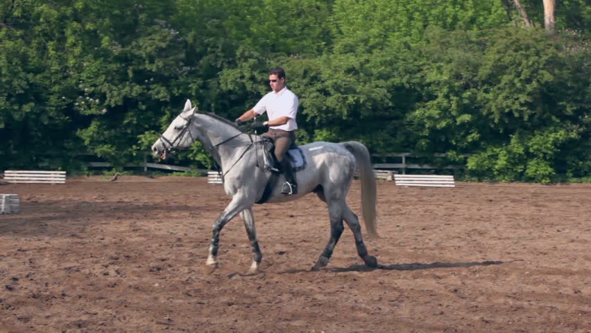 Horseman rides on horseback by equestrian field at sunny summer day