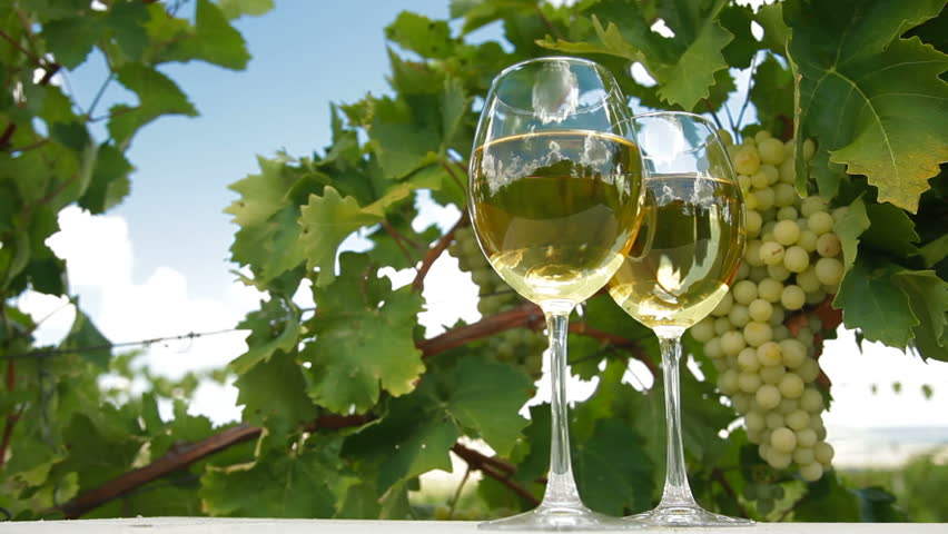 Blue Sky in White Wine Glasses