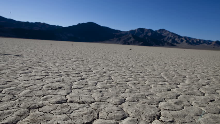 Pan of Desert Floor with Cow Skull - Death Valley
