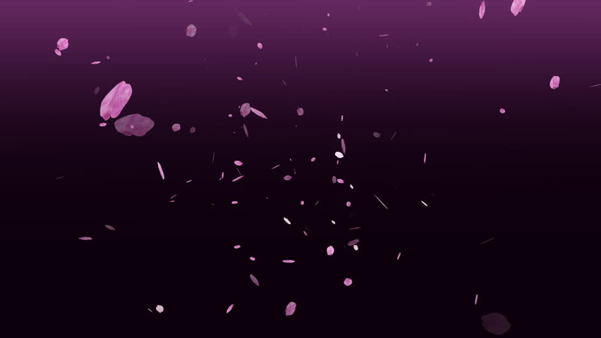 Falling Cherry Blossoms Animation