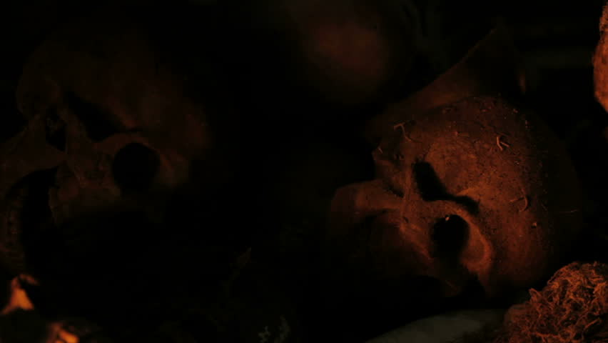 Skulls revealed from the shadows