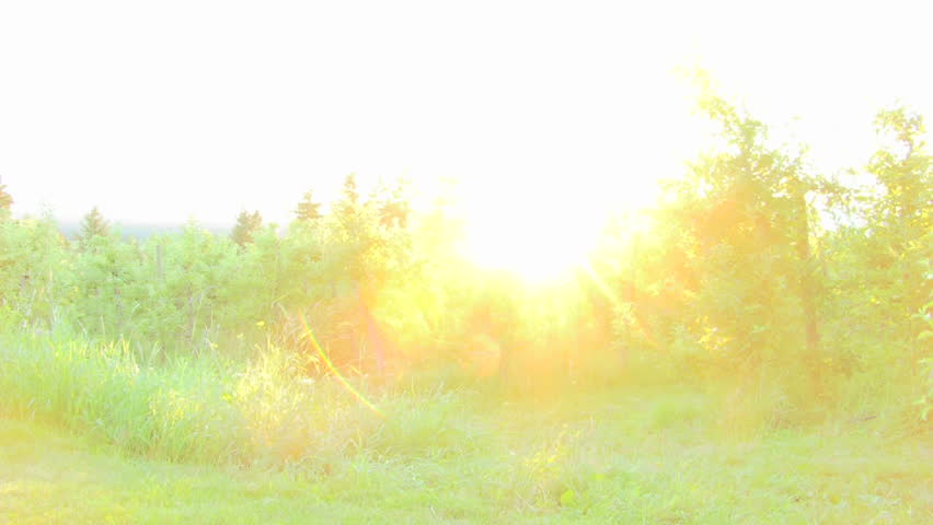 Model released bride and groom walking together at sunset on their wedding day.