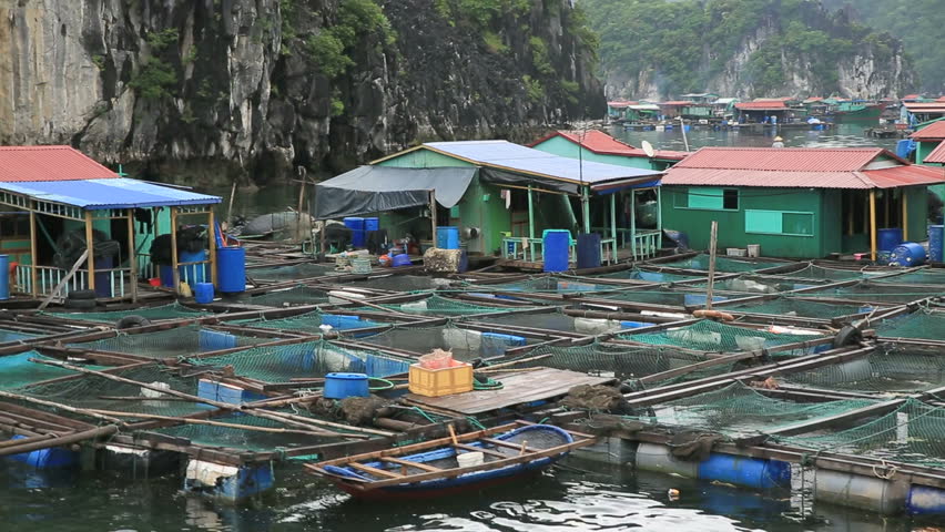 Floating fishing village in halong bay, Vietnam, Asia