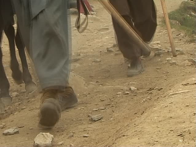 Porters carrying down pilgrims to the holy Amarnath cave in the Himalayas