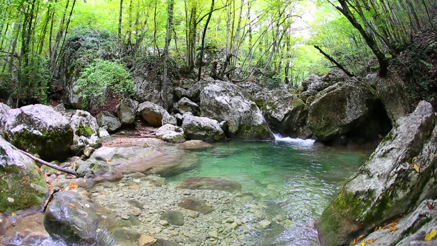 Mountain river in the forest