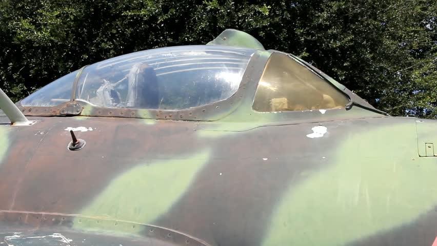 Leaves On Trees Rustling Behind Canopy And Partial Fuselage View Of A Relic Soviet Era Fighter Plane