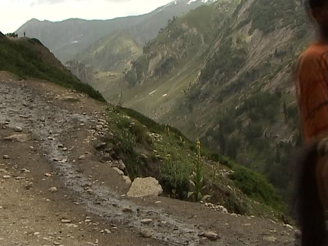 Mules are carrying gas bottles on the mountain road