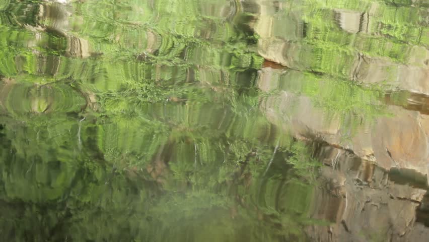 pond water texture