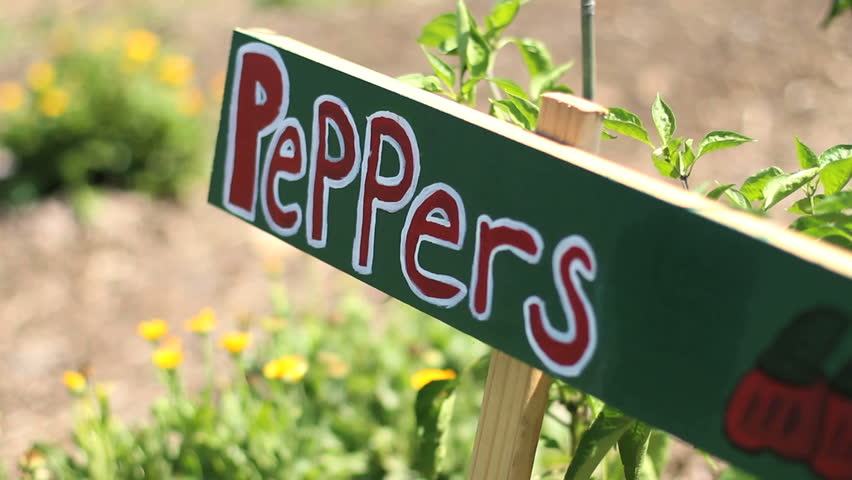 Garden Sign for "Peppers" - Great DOF