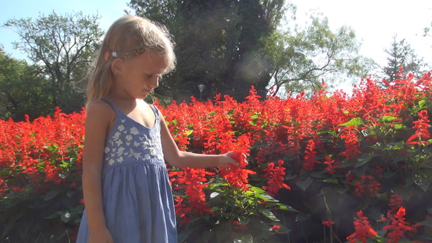 Child Smelling and Playing with Flowers, Little Girl Touching the Flowers