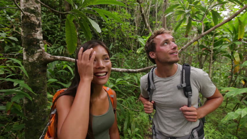 Hikers walking in rain forest jungle