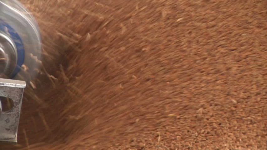 processing grain in granary
