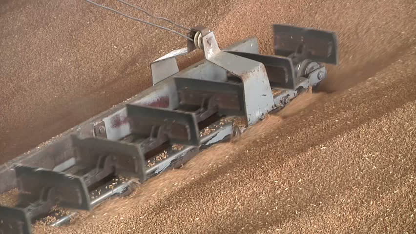 processing grain in granary