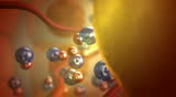 Carbon dioxide enters the cell