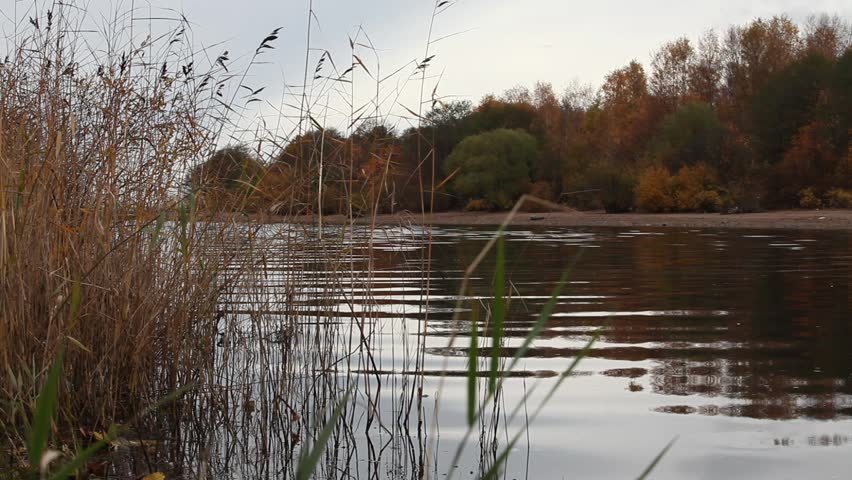 Gulf of Finland autumn the end of October