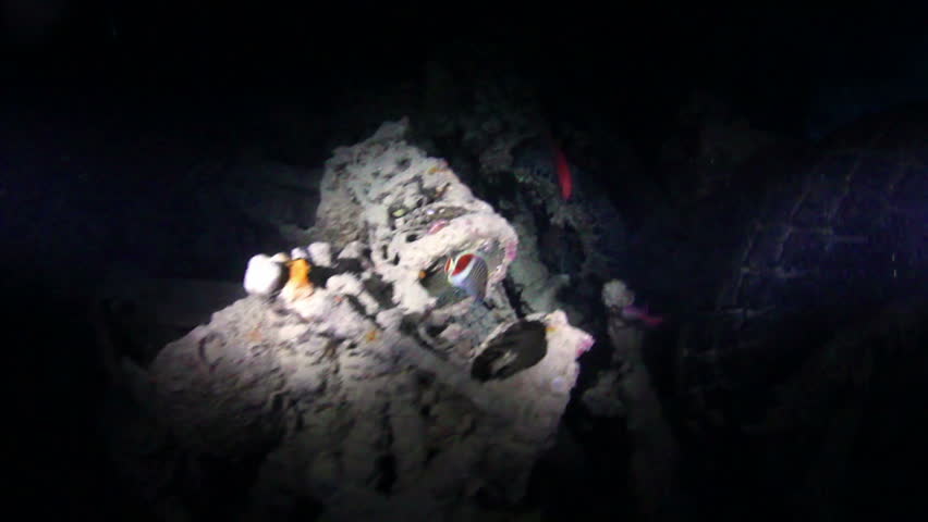 Swimming in the hold of shipwreck the SS Thistlegorm. Red Sea.