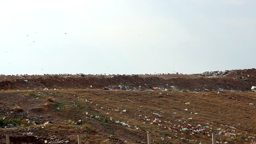 Landfill and truck

Description: Garbage truck on landfill

