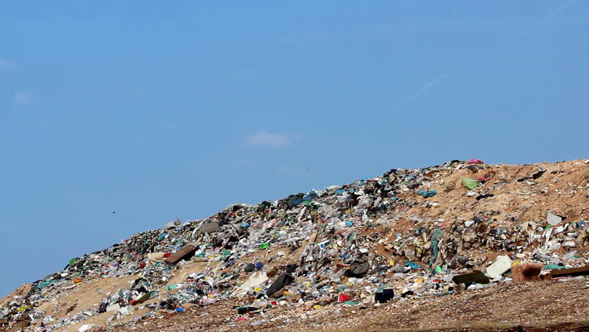 City dump

Description: Nylon bags flying on the landfill

