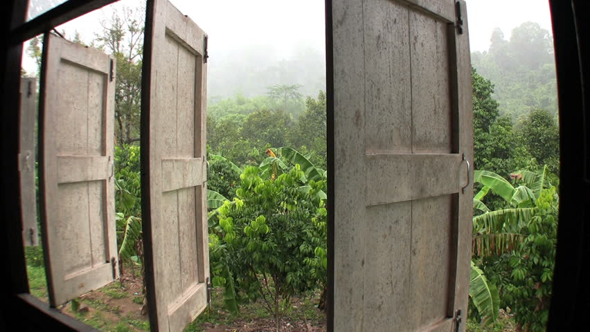 A tilt down shot of the monsoon rains falling on an orchard fruit farm in Chantaburi, Thailand.