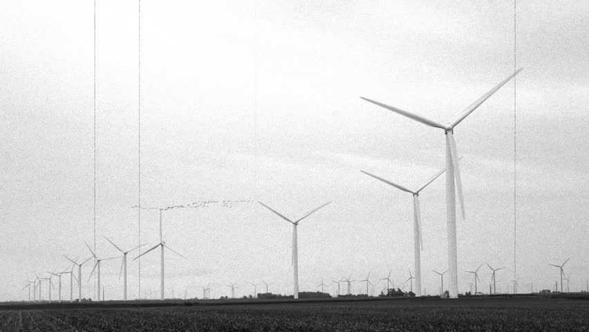 Windmills in field black and white effects