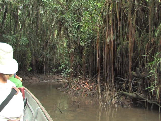 Canoeing the Amazon rivers