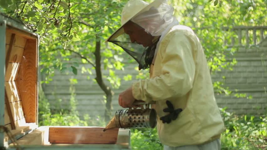 Beekeeper at work with fumigation apparatus
