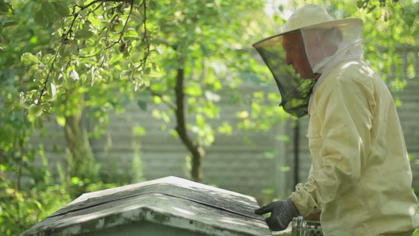 Beekeeper at work with fumigation apparatus