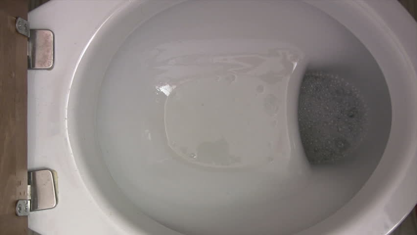 Cleaning the Toilet