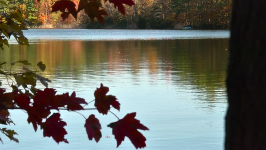 This framed lake reflects the surrounding fall color.