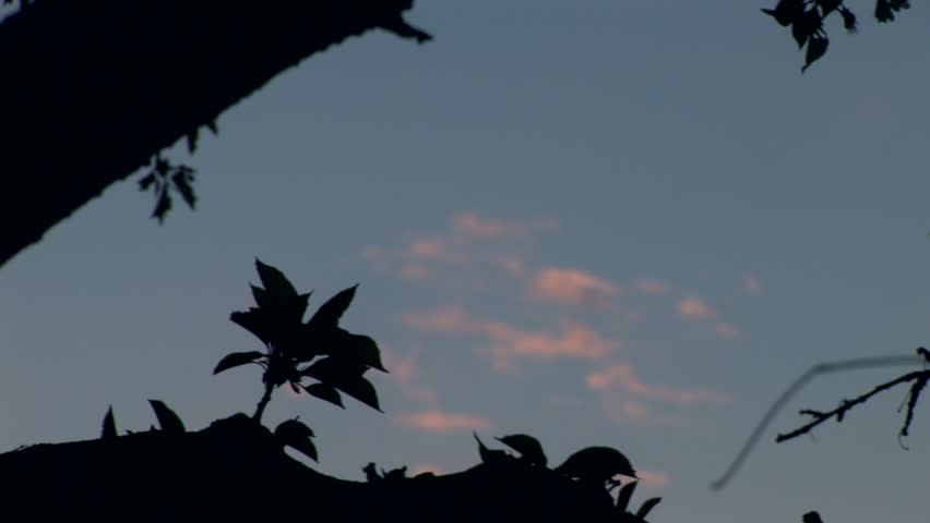 Nice and warm spring sky at dusk
