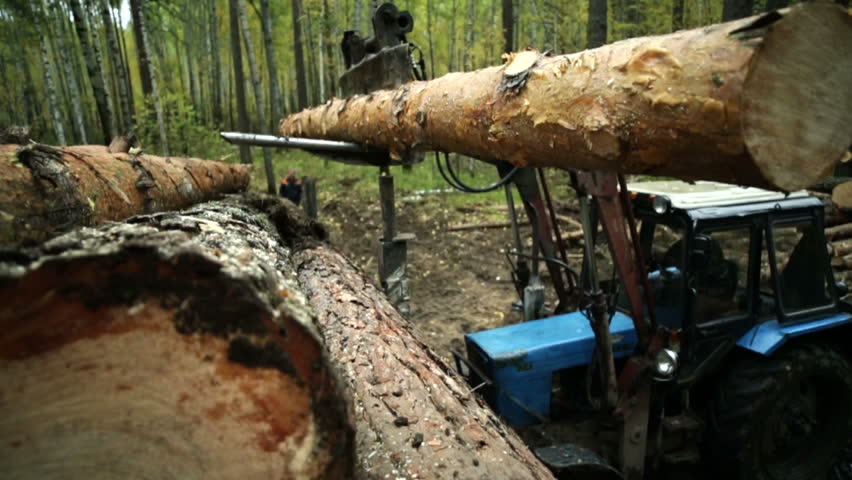 Tractor adds up felled timber into a heap