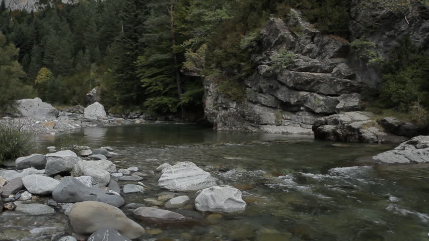 Ara River in Bujaruelo Valley. Ordesa National Park. Pyrenees, Huesca province. Spain, Europe
