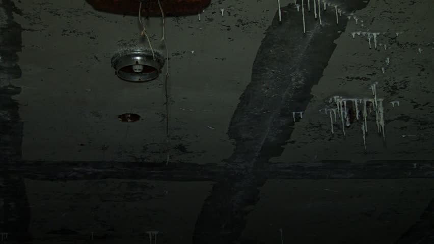 Pan shot from ruined, dripping, stalactite-encrusted ceiling with empty light socket and hanging wires to a semi-intact spiderweb inside a gaping window.
