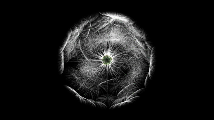 Dandelion dancing,Alpha included