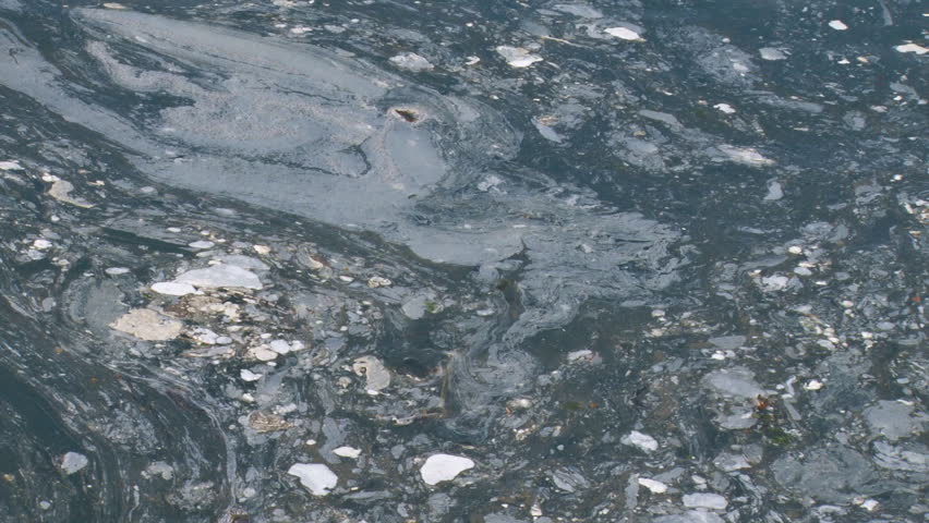 Mixed foam, scum, and waste material floating in harbor waters.