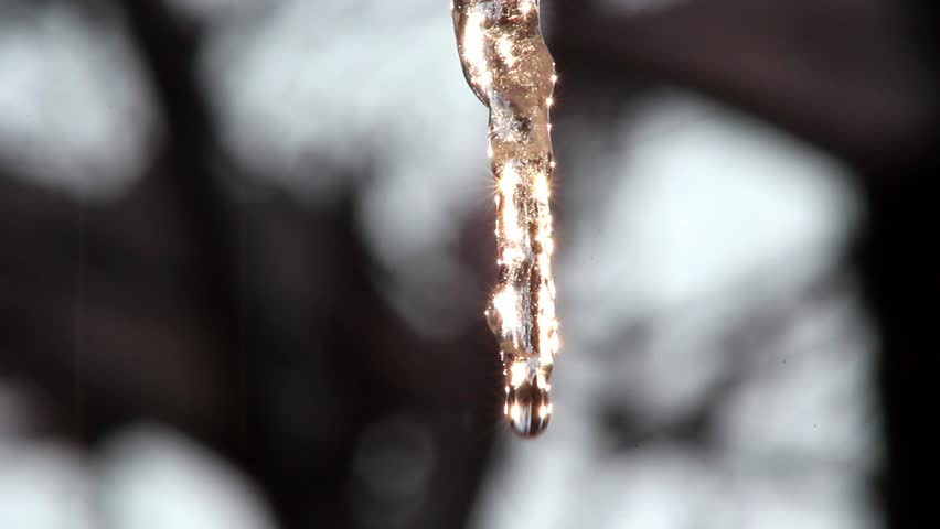 dripping icicle